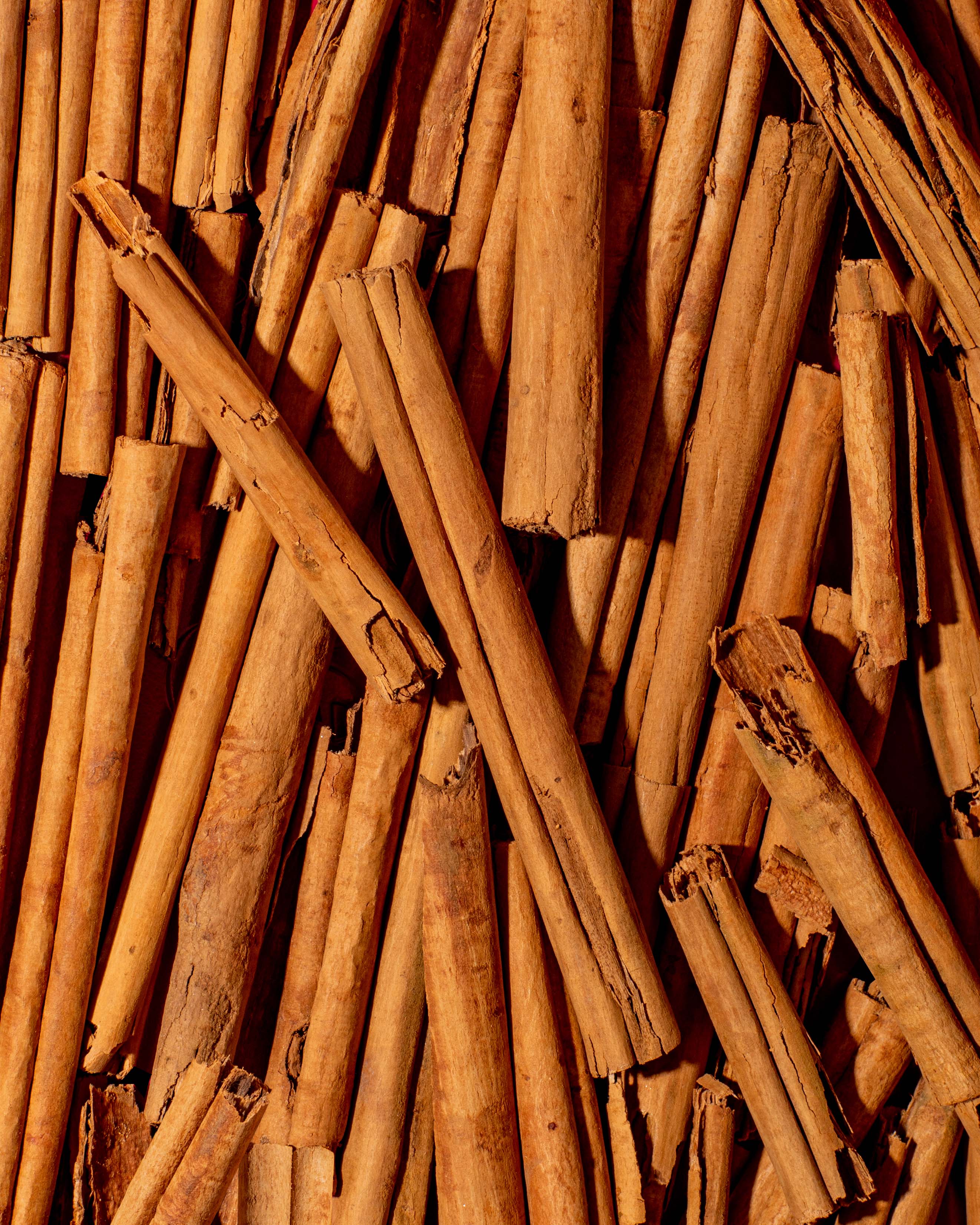 Wild Cinnamon Quills