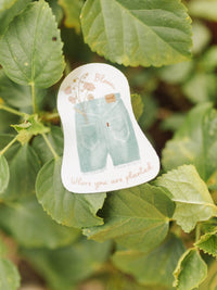 Sticker | Bloom