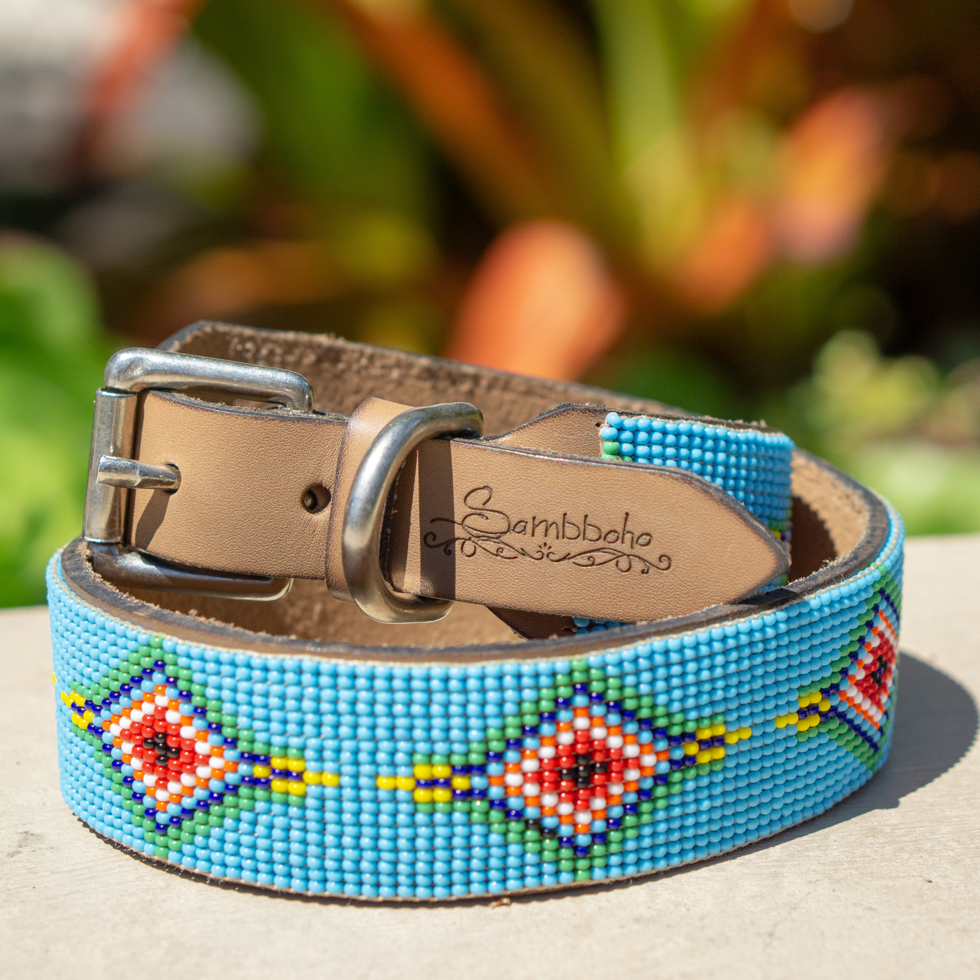 Blue Vogue Sambboho dog collar