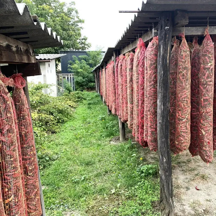 Szegedi 178 Hot Paprika - Single Origin Spice & Seasoning