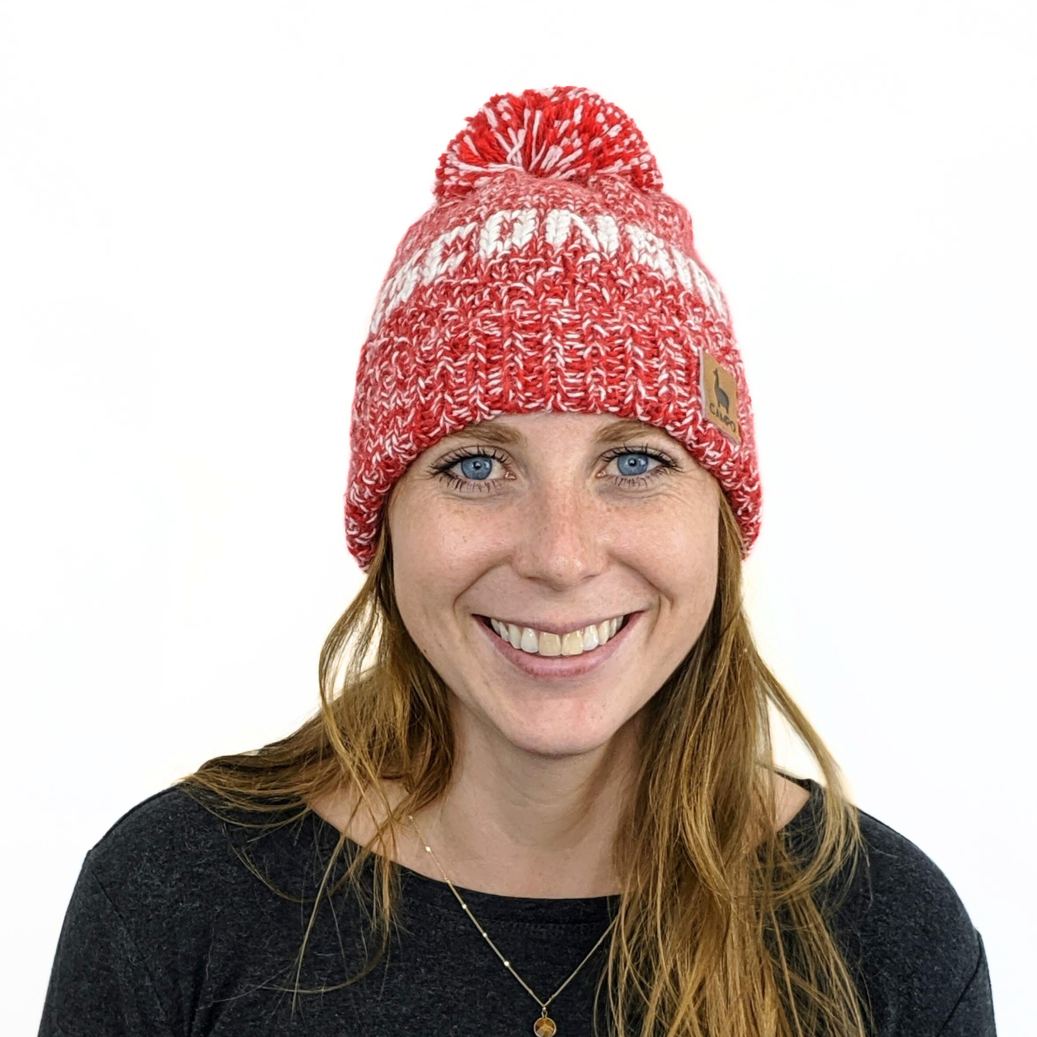 Wisconsin Alpaca Beanie