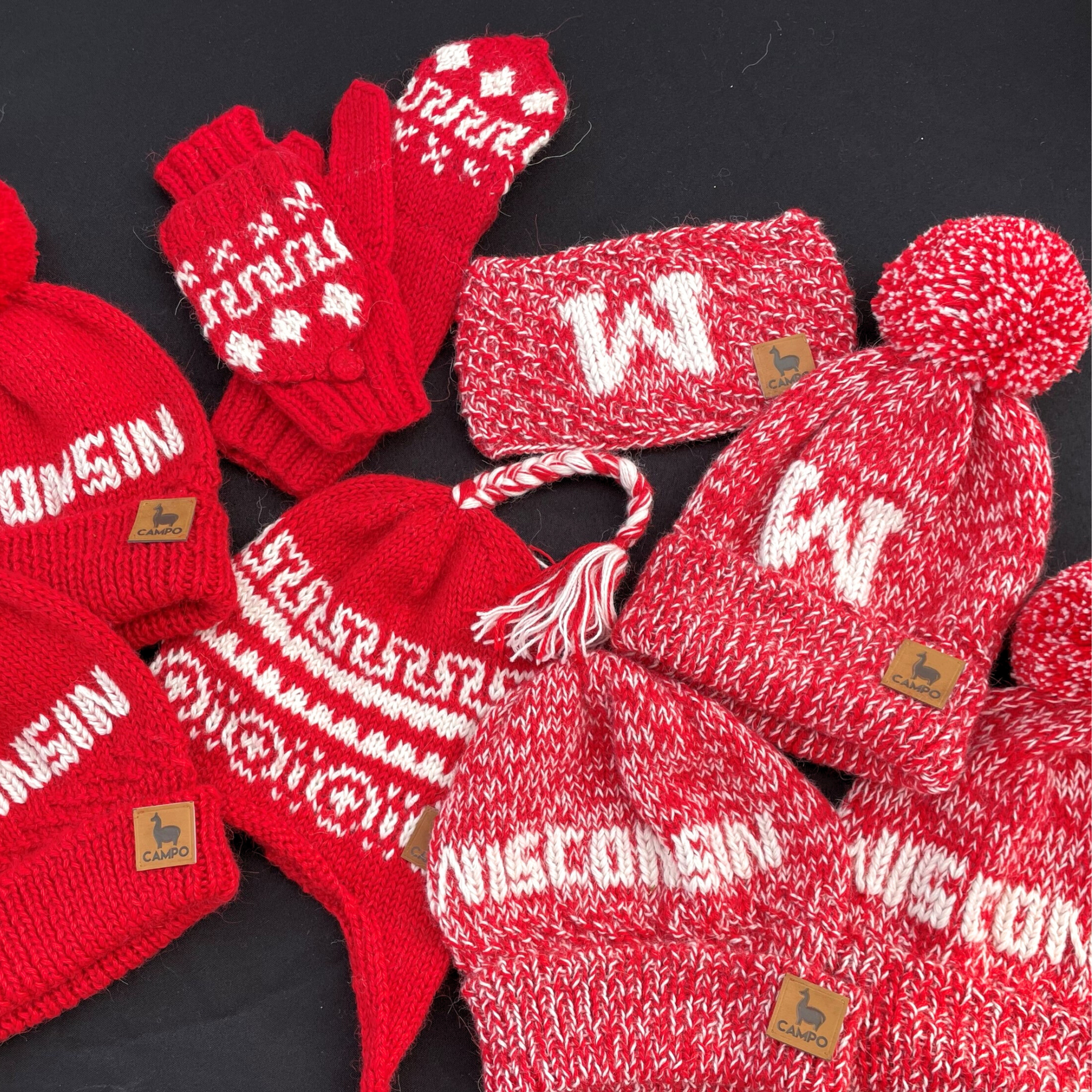 Wisconsin Alpaca Beanie