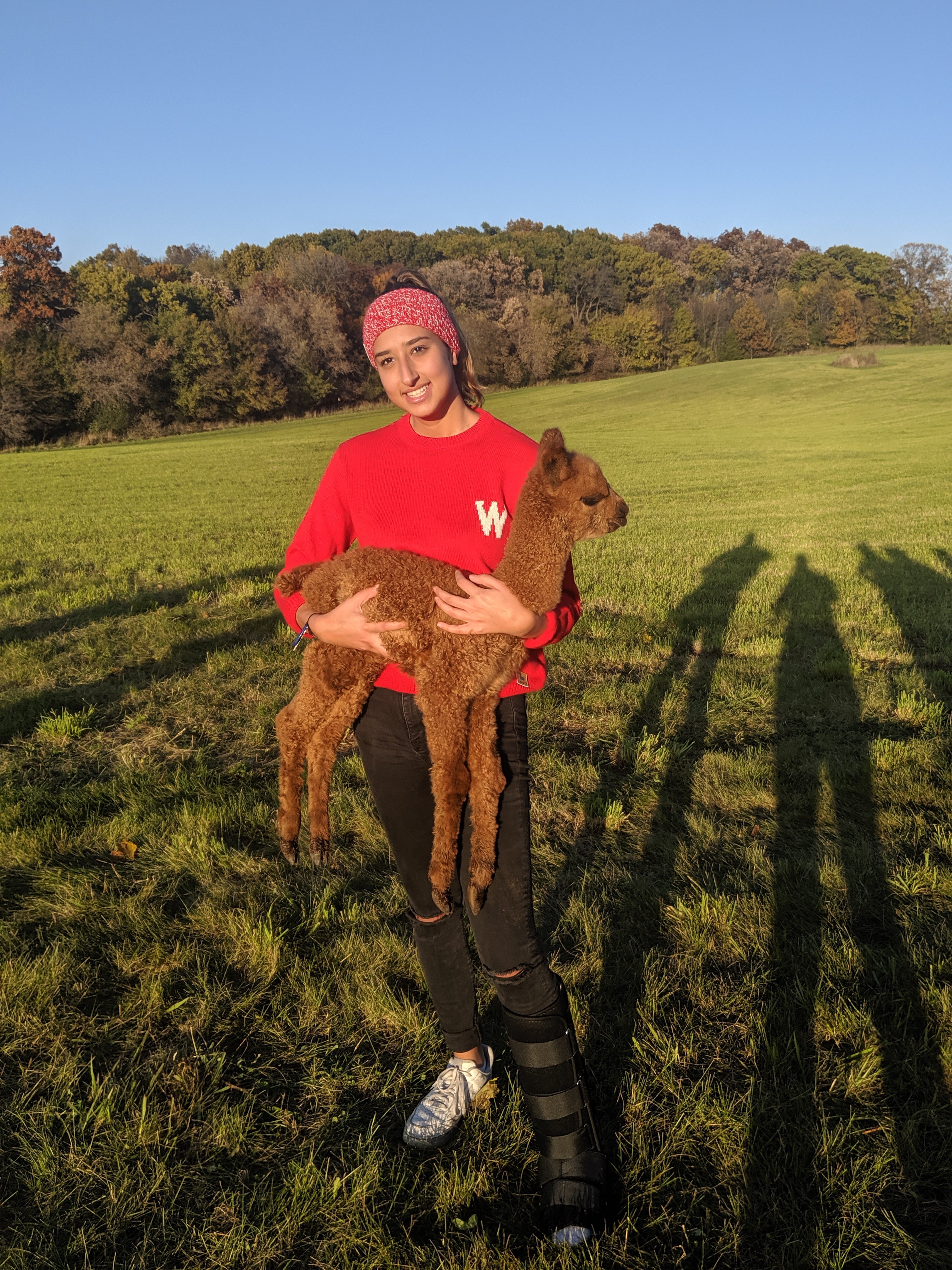 Wisconsin Alpaca Crew Neck Sweater - Red W