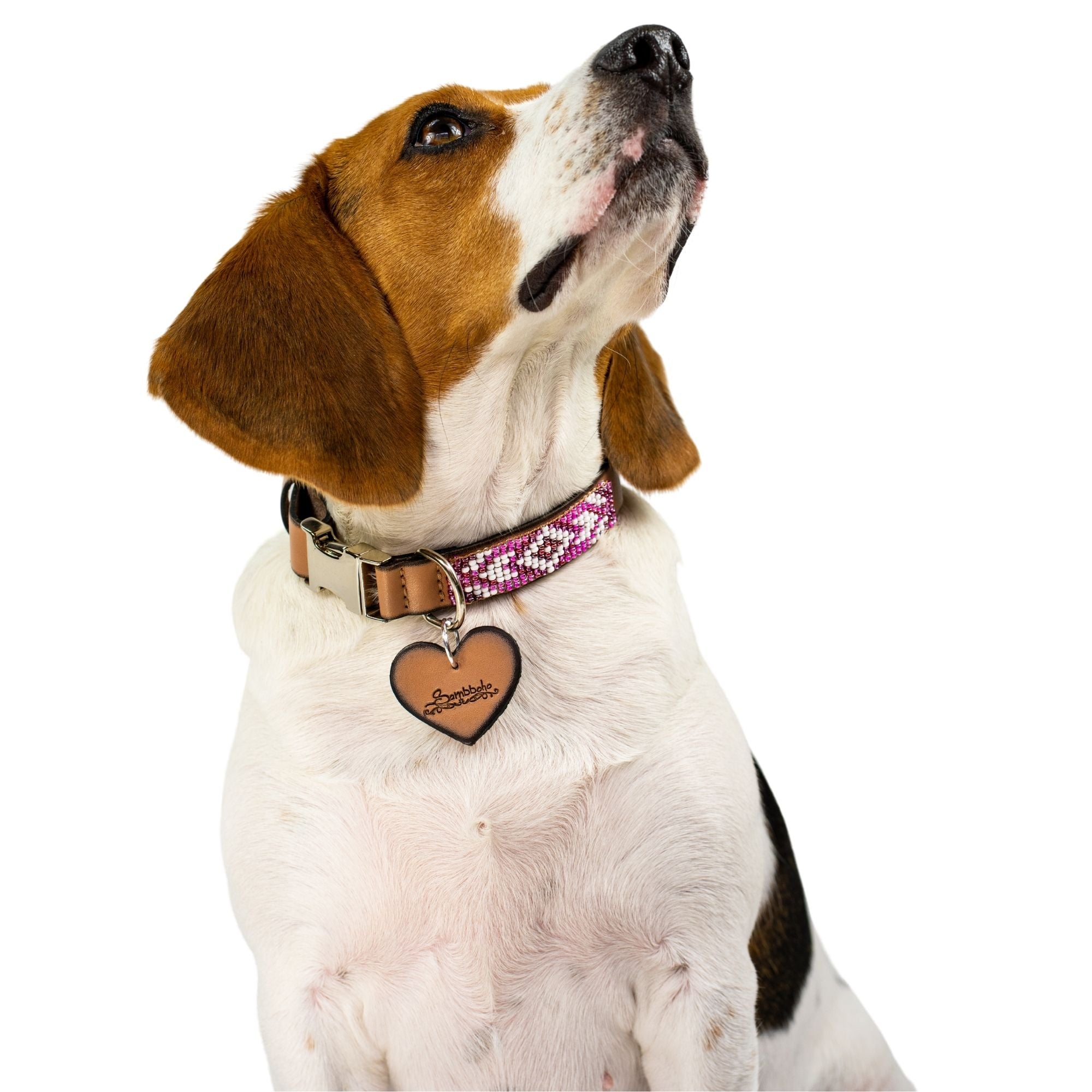 Melrose dog collar (quick release)