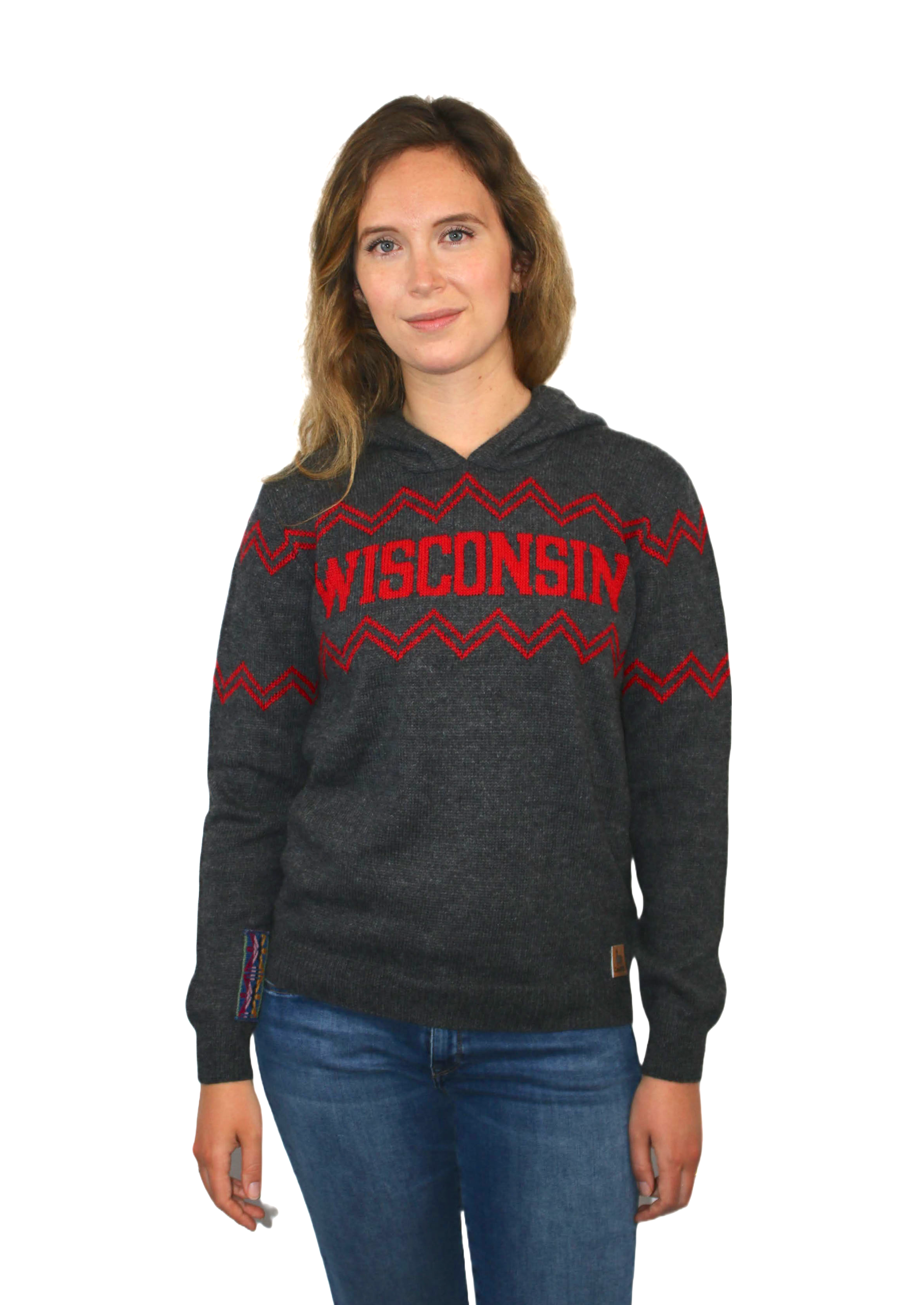 Wisconsin Alpaca Hoodie - Dark Gray