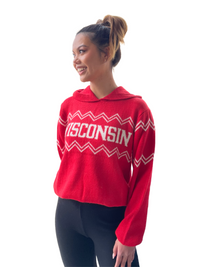 Wisconsin Alpaca Hoodie - Red
