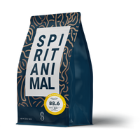 Honduran Cup of Excellence Parainema Coffee