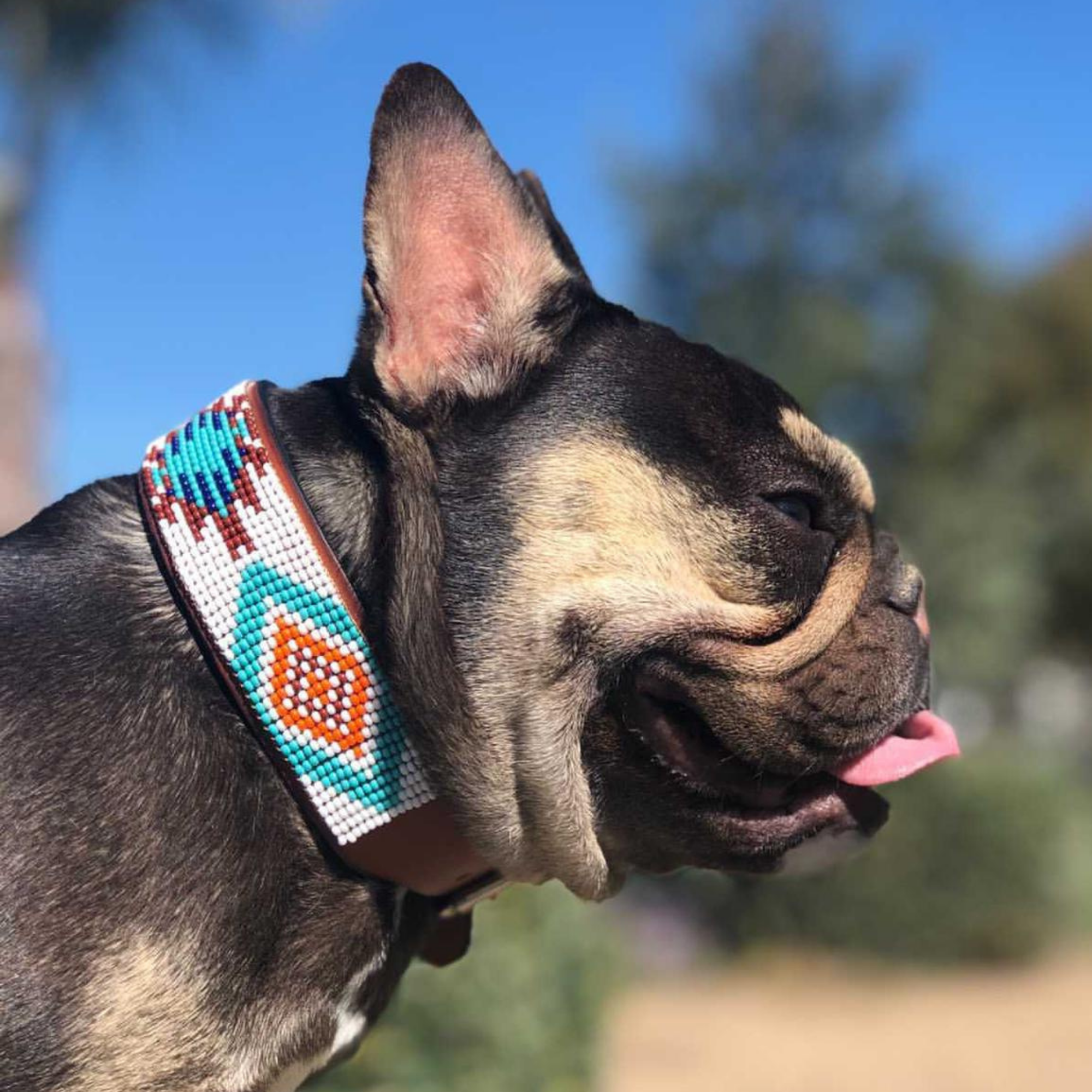 Aztec Sambboho dog collar