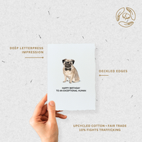 Card | Birthday Pug Dog