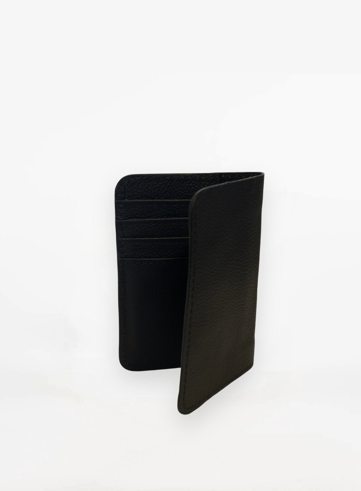 Passport Holder