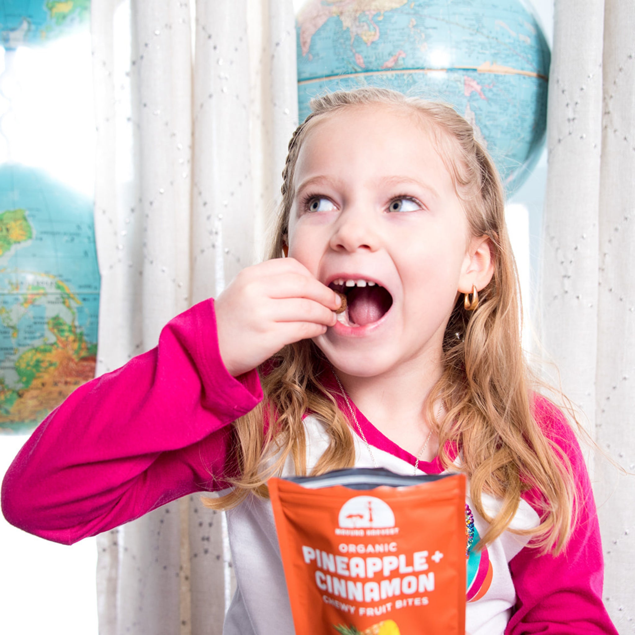 Organic Pineapple + Cinnamon Fruit Bites