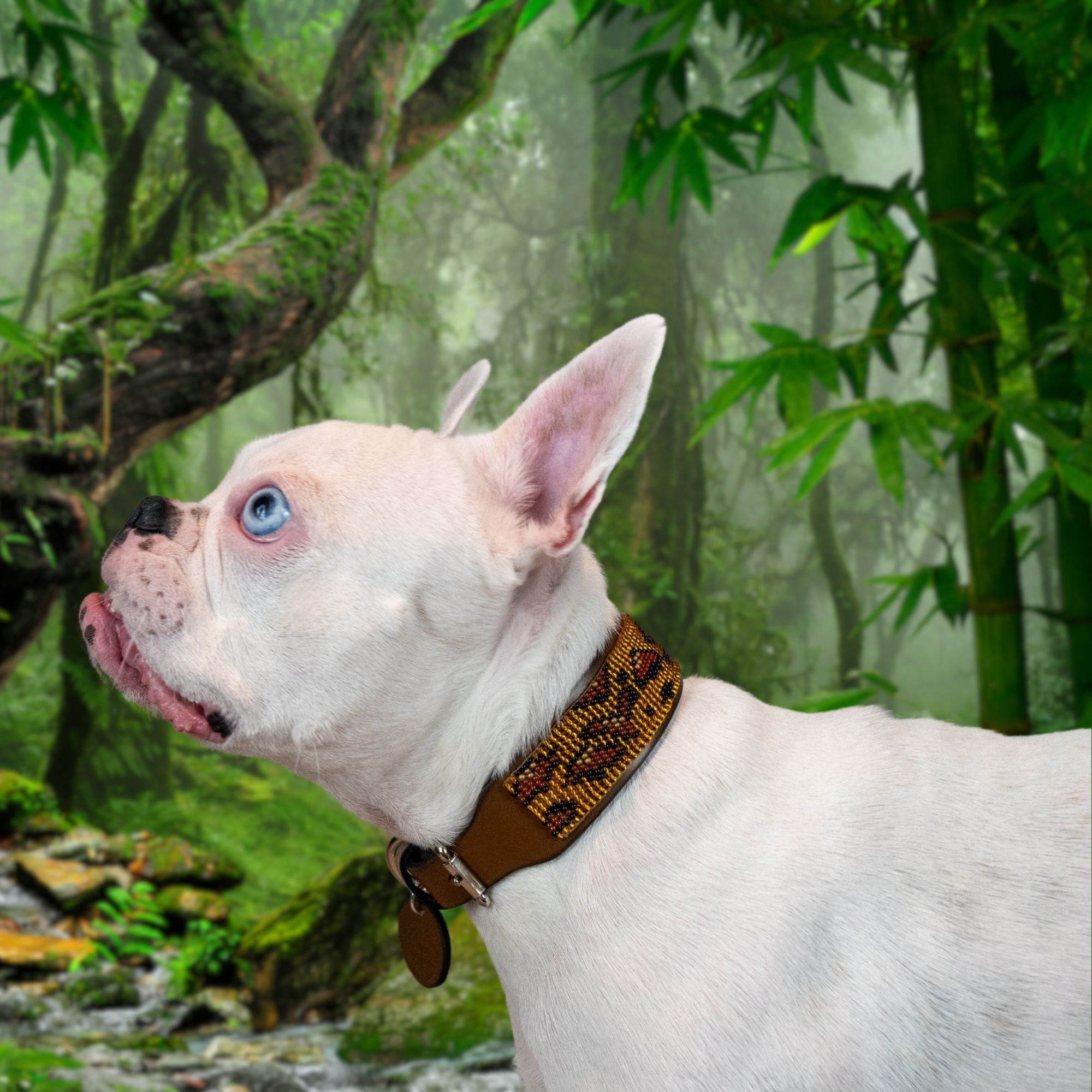 Cheetah Sambboho dog collar (animal print collection)