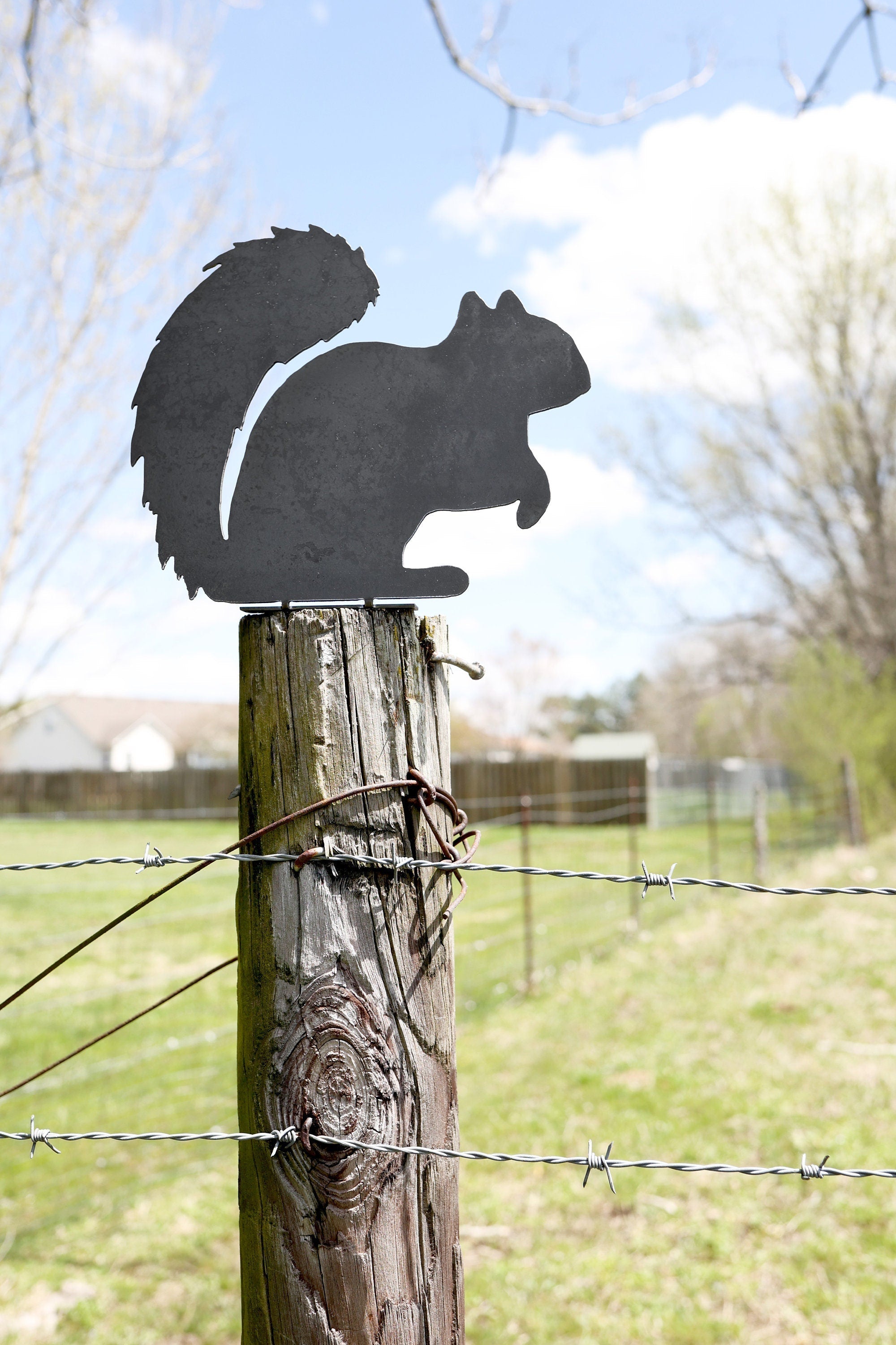 Metal Squirrel Statue