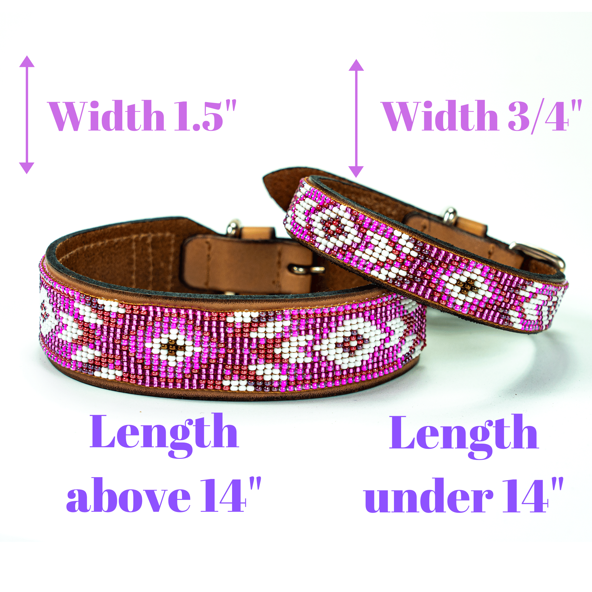 Matching leash/dog collar Melrose Sambboho Bundle