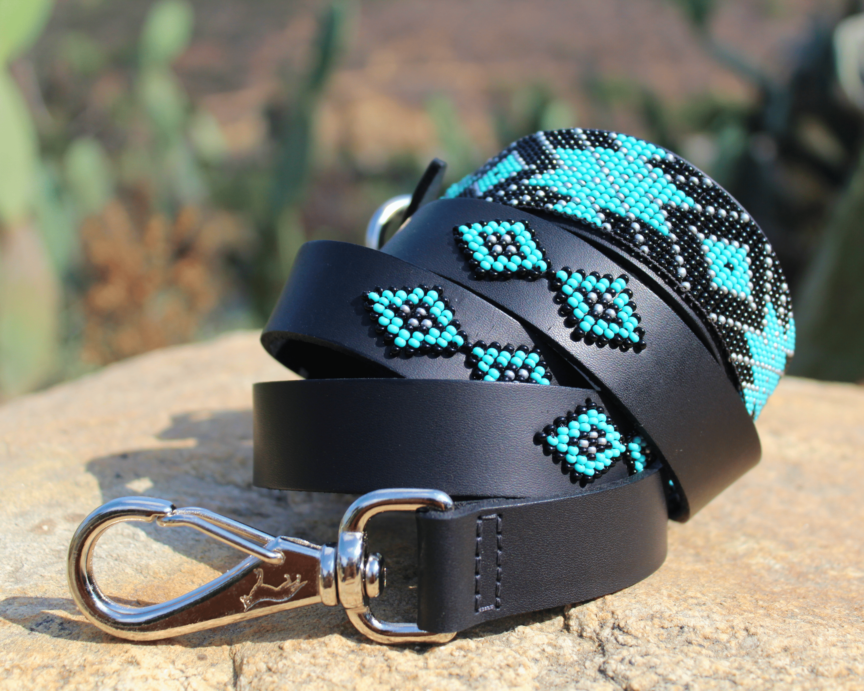 Matching leash/dog collar Saint Barth Sambboho Bundle