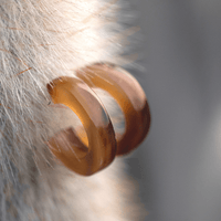 Suubi Hoops - Ethical Trade Co