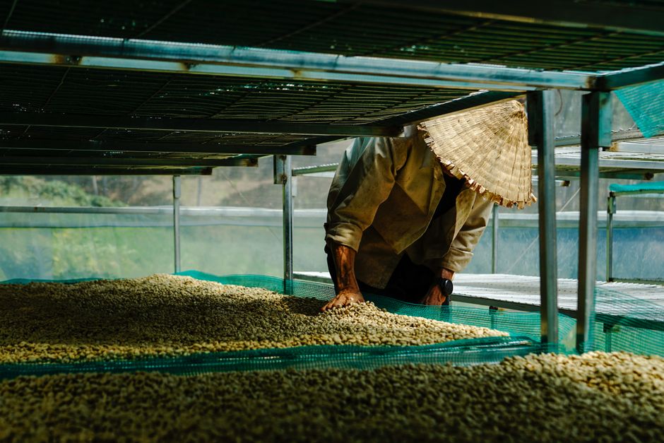 Beyond Fair Trade Coffee: Why Some Roasters Skip the Label