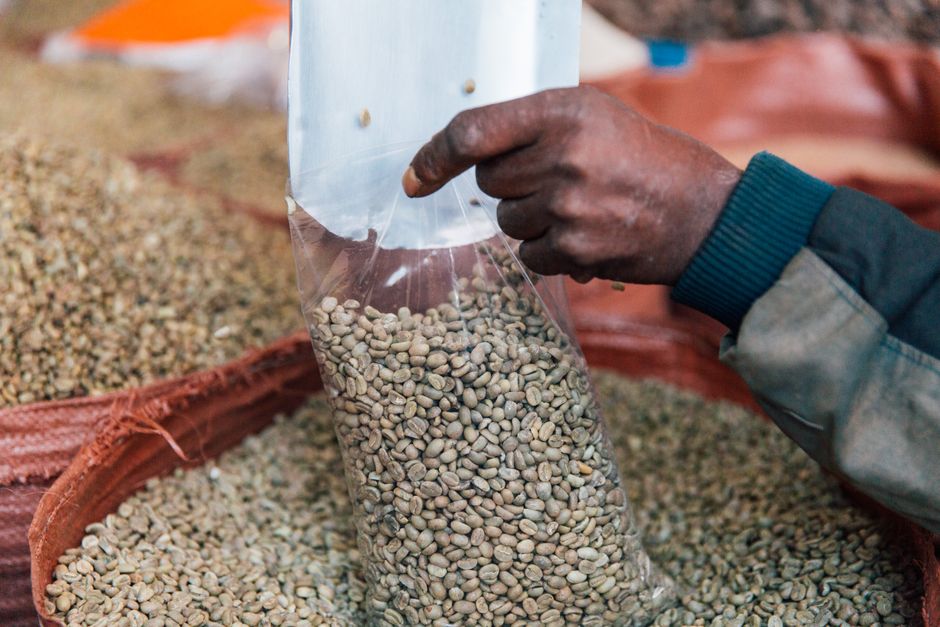 How Fair Trade Coffee Fights Human Trafficking and Poverty