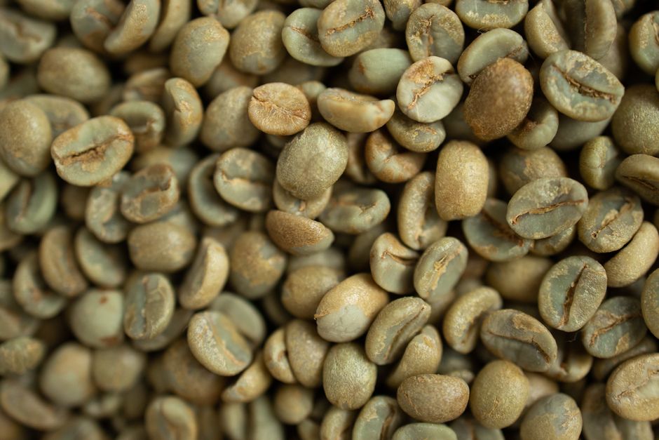 What Is Fair Trade Coffee and Why It Matters in 2026