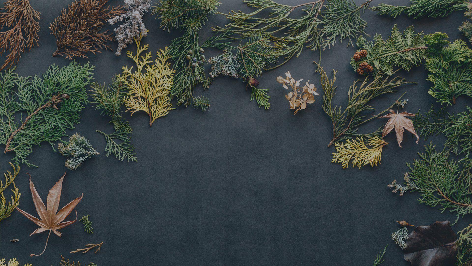 Holiday - Ethical Trade Co