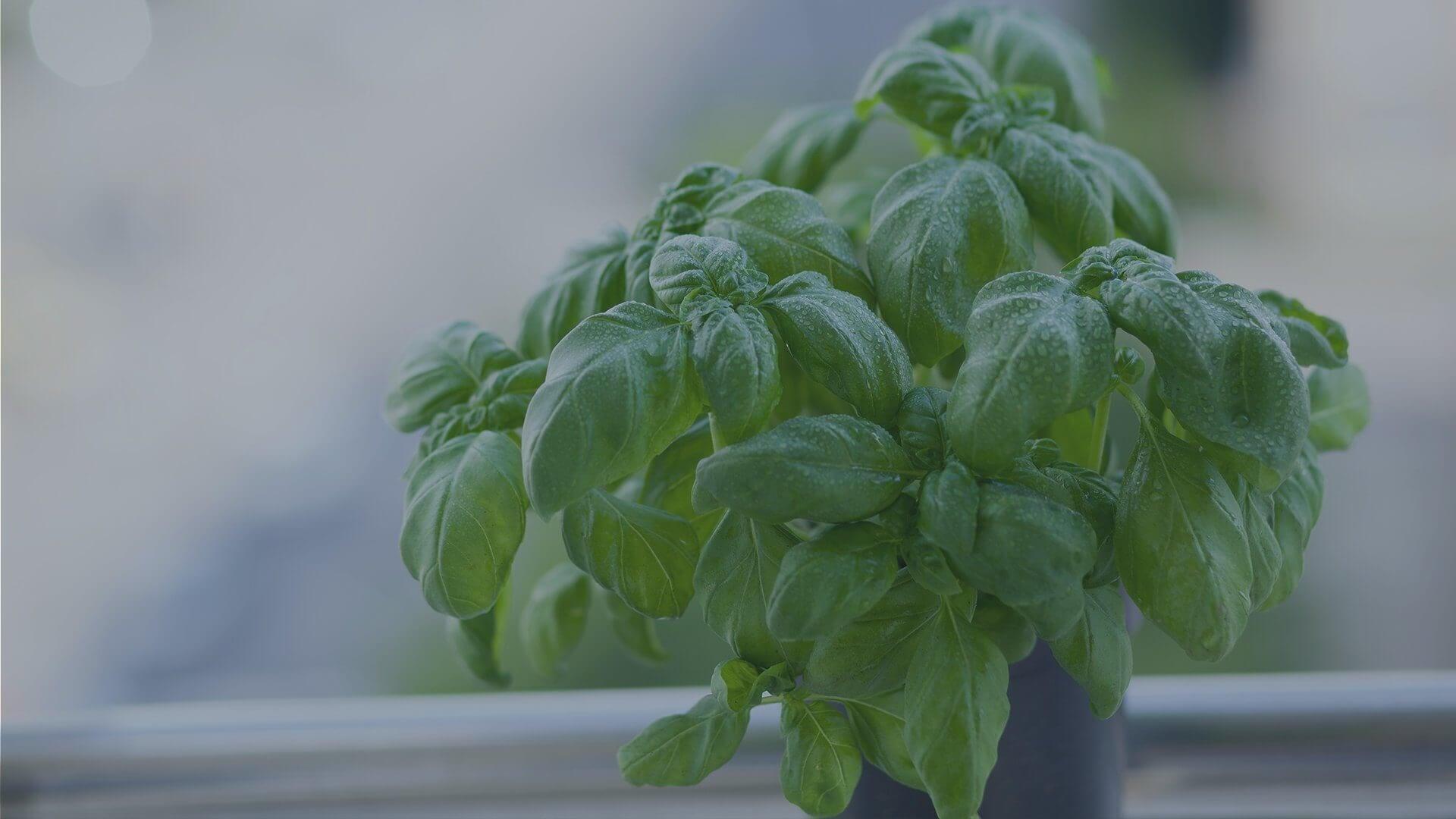 Kitchen - Ethical Trade Co