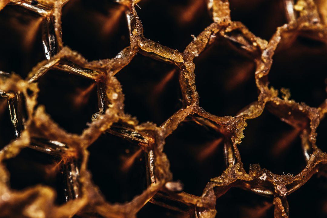 African Bronze Honey