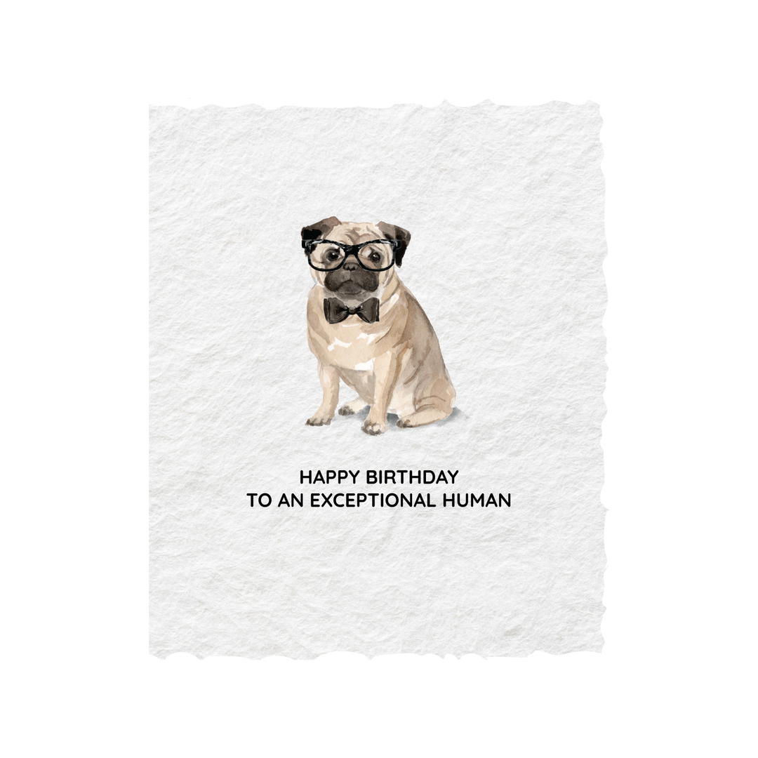 Card | Birthday Pug Dog