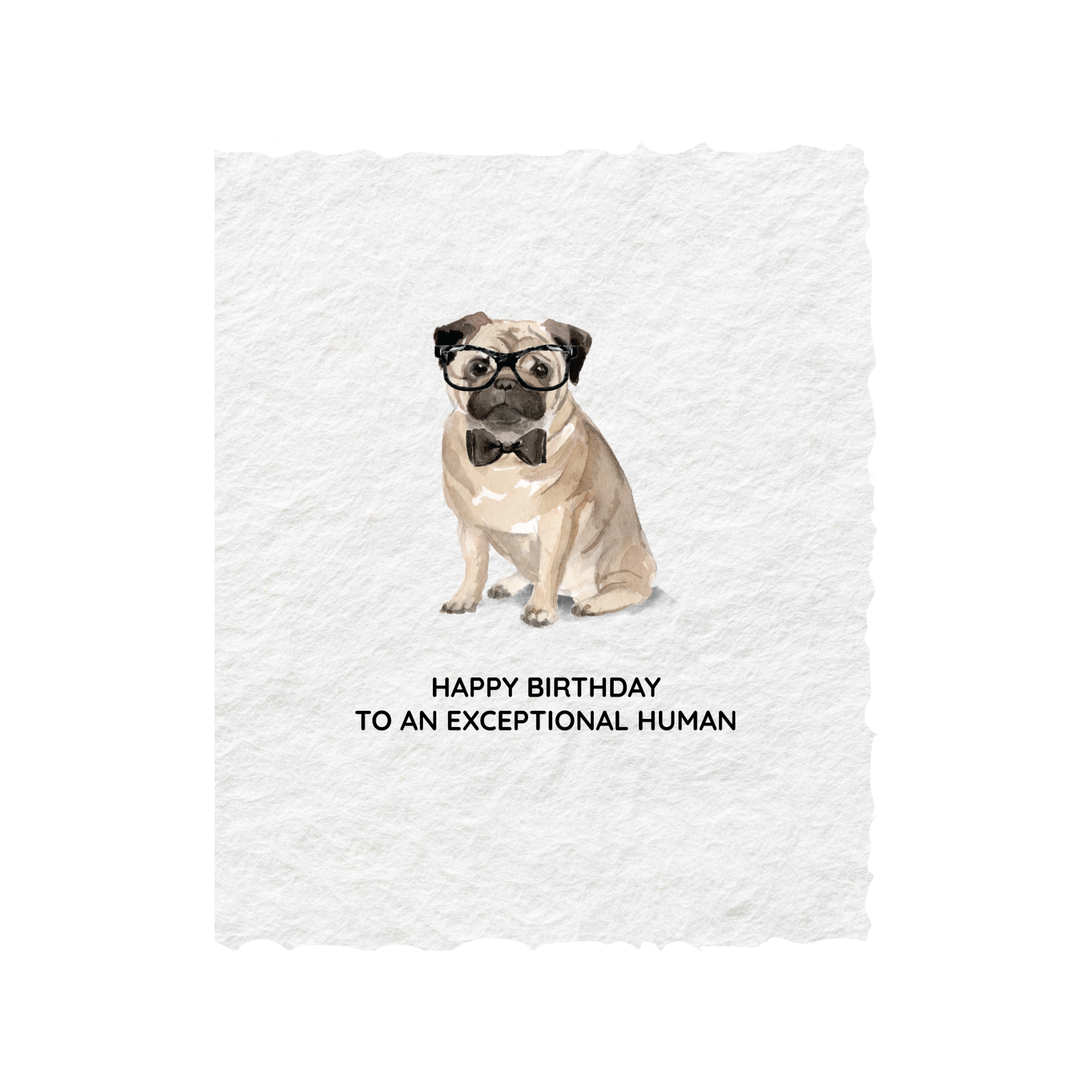 Card | Birthday Pug Dog