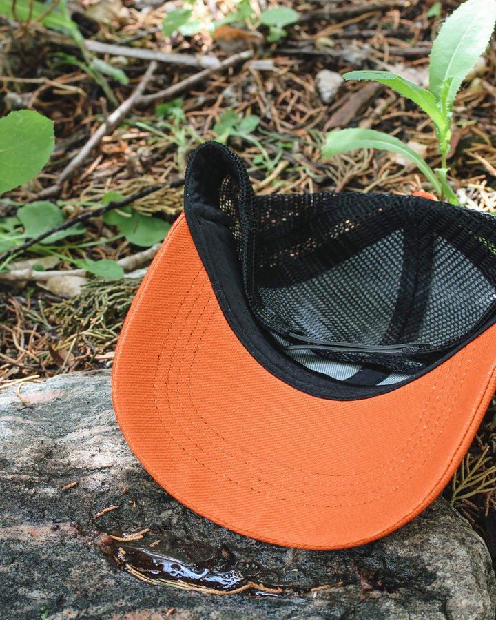 Stargazer Trucker Hat