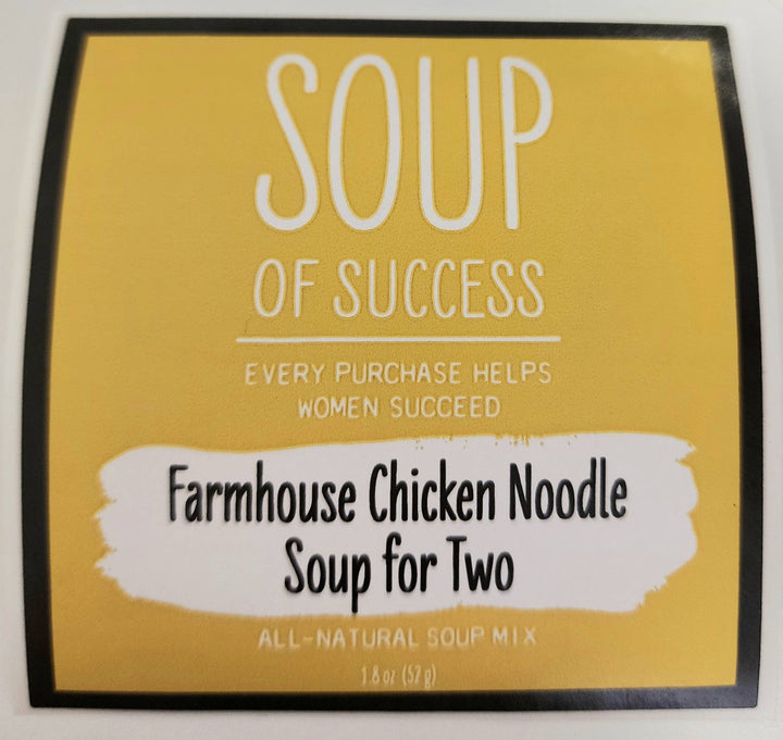 Farmhouse Chicken Noodle Soup for Two