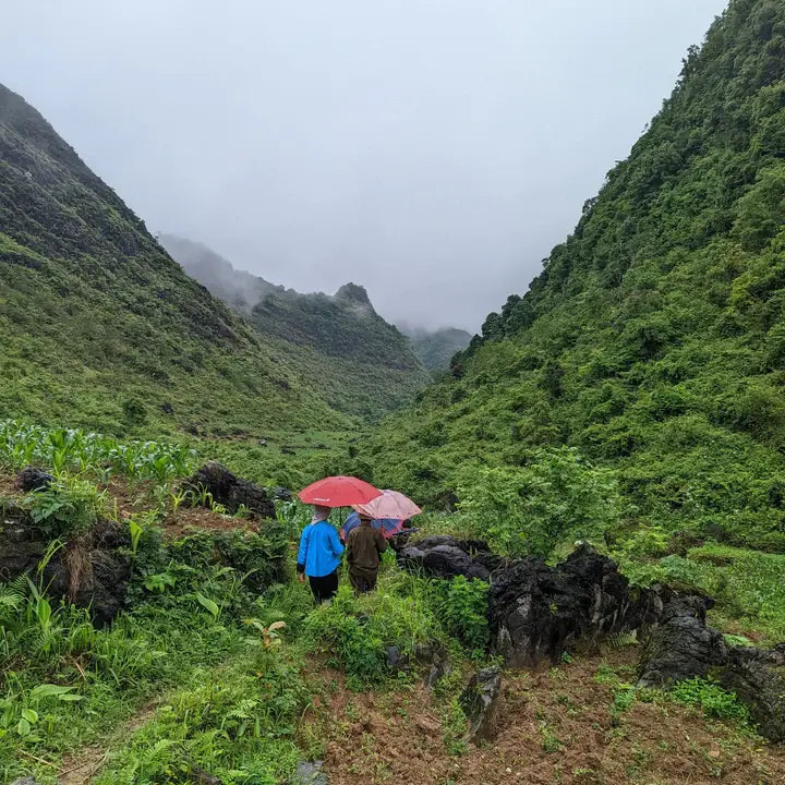 Five Spice - Single Origin Spice & Seasoning Blend