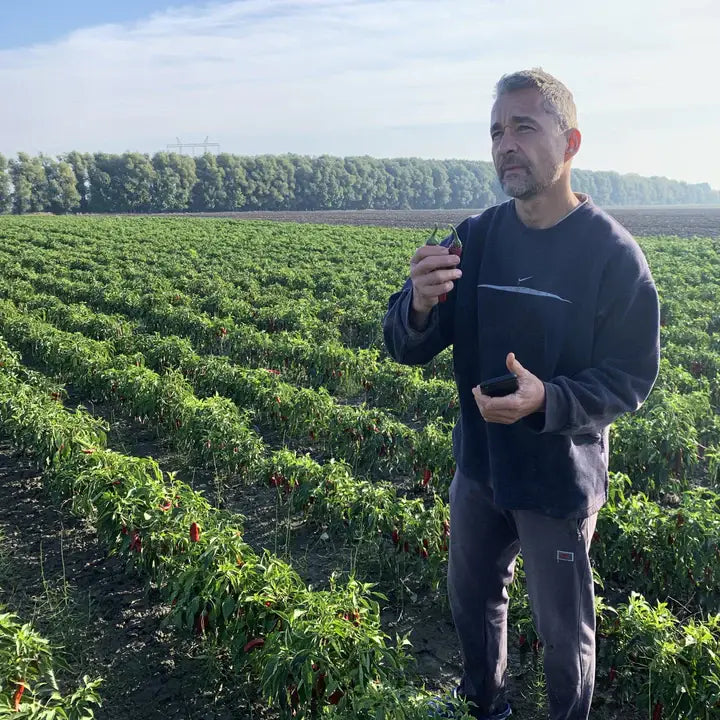 Szegedi 178 Hot Paprika - Single Origin Spice & Seasoning