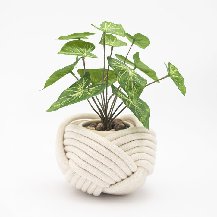 Unbound Planter White