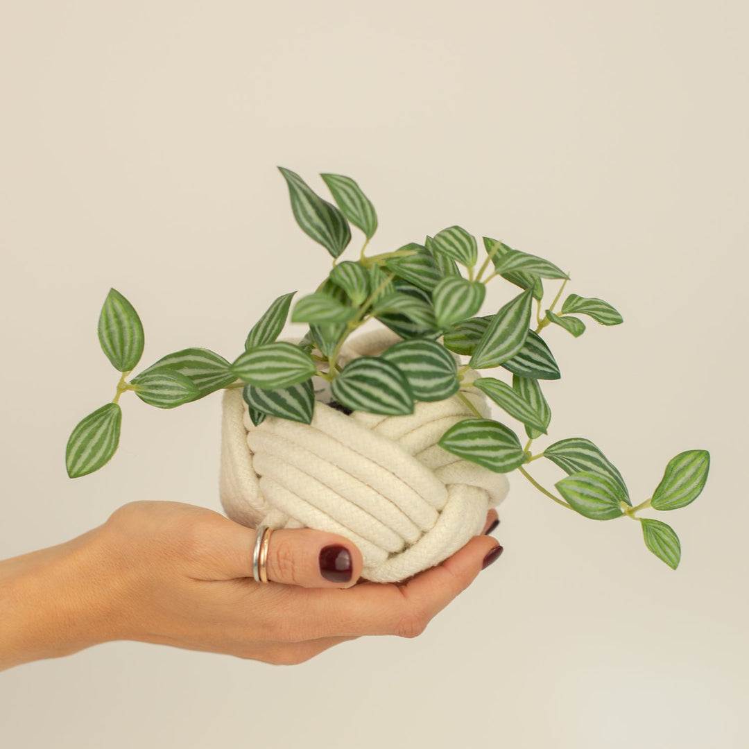 Mini Unbound Planter White