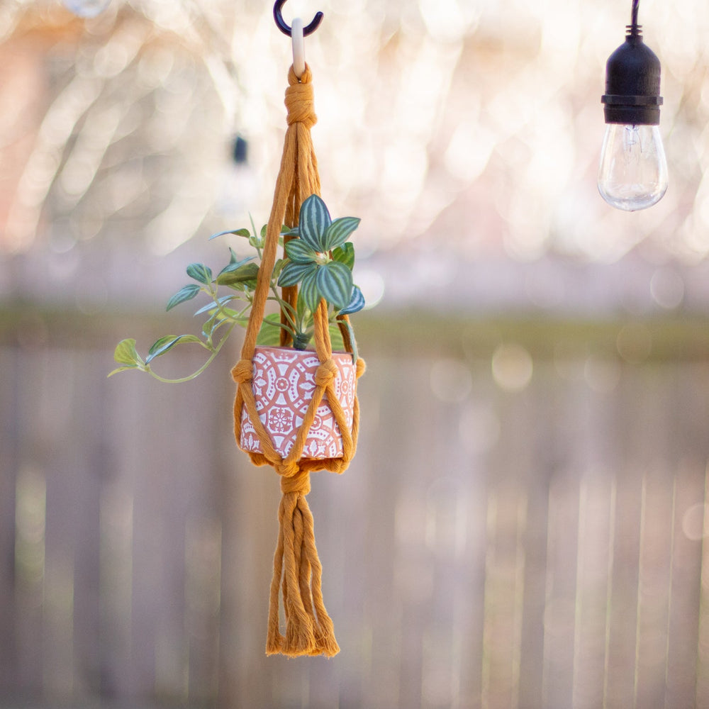 Mini Flourish Plant Hanger Mustard