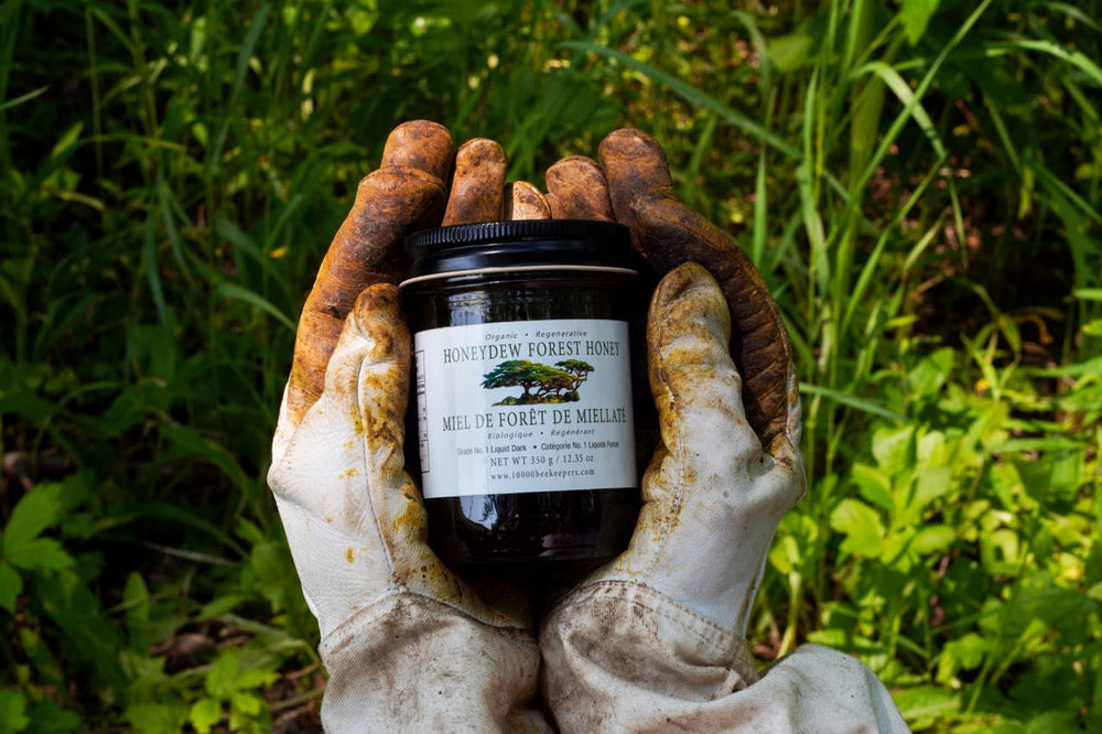 Organic Wild Honeydew Forest Honey