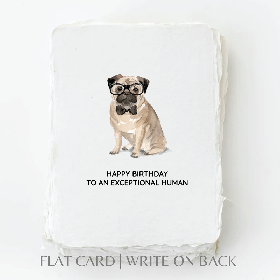 Card | Birthday Pug Dog