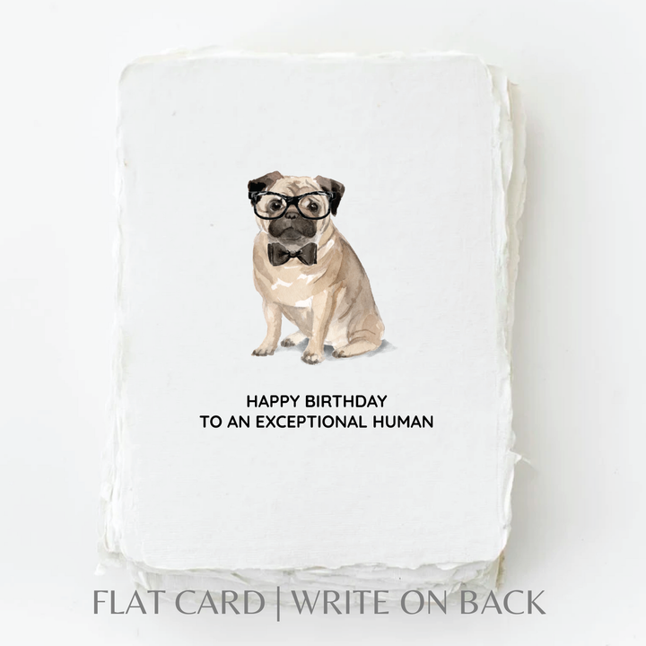 Card | Birthday Pug Dog