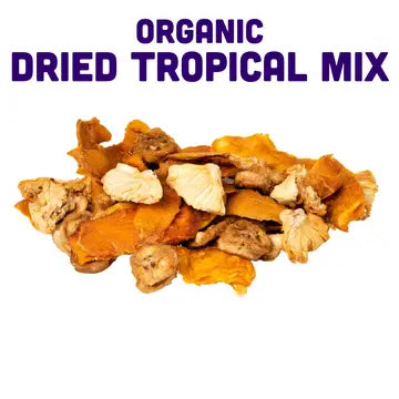 Dried Organic Tropical Mix
