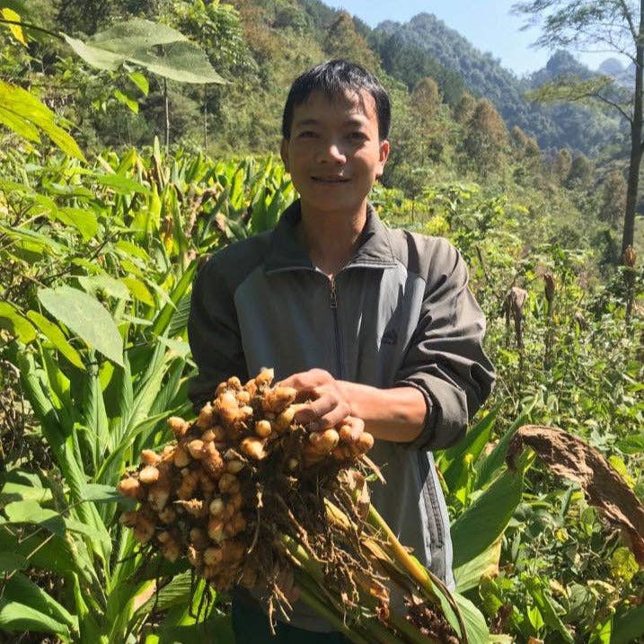 Buffalo Ginger - Single Origin Spice & Seasoning