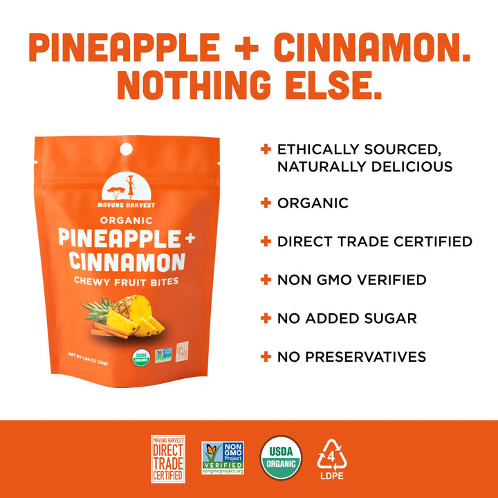 Organic Pineapple + Cinnamon Fruit Bites