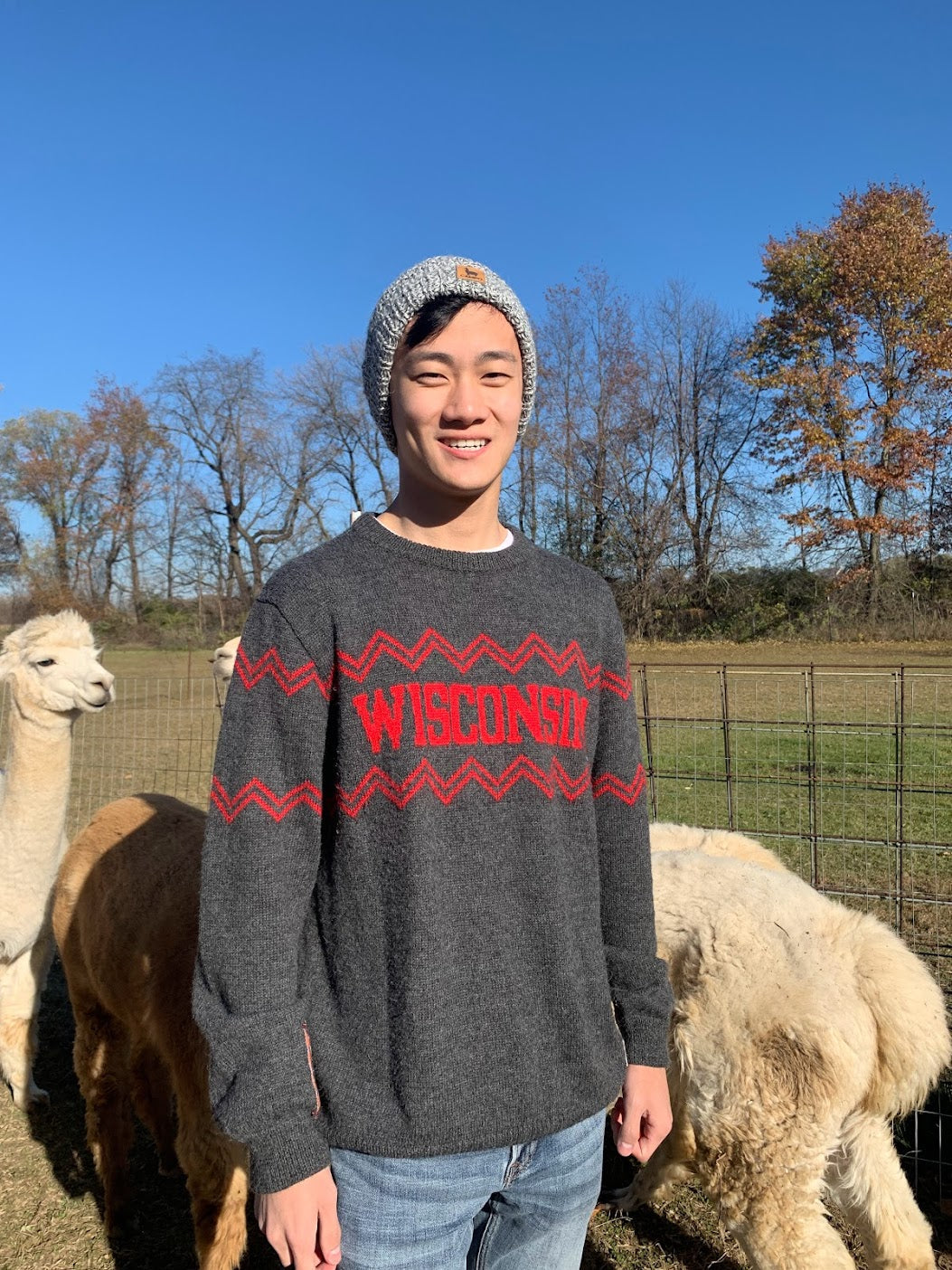 Wisconsin Crew Neck Alpaca Sweater - Dark Gray