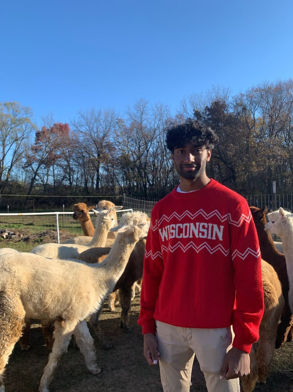 Wisconsin Alpaca Crew Neck Sweater - Red