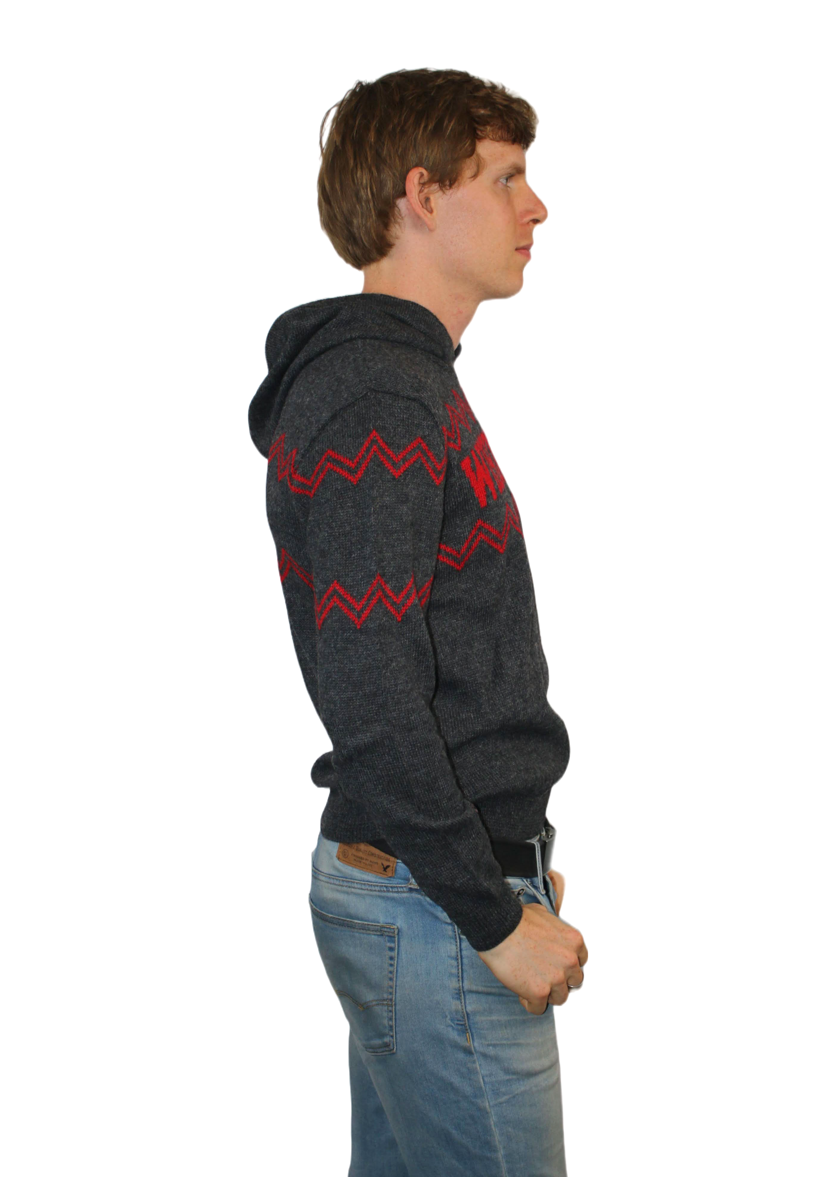 Wisconsin Alpaca Hoodie - Dark Gray