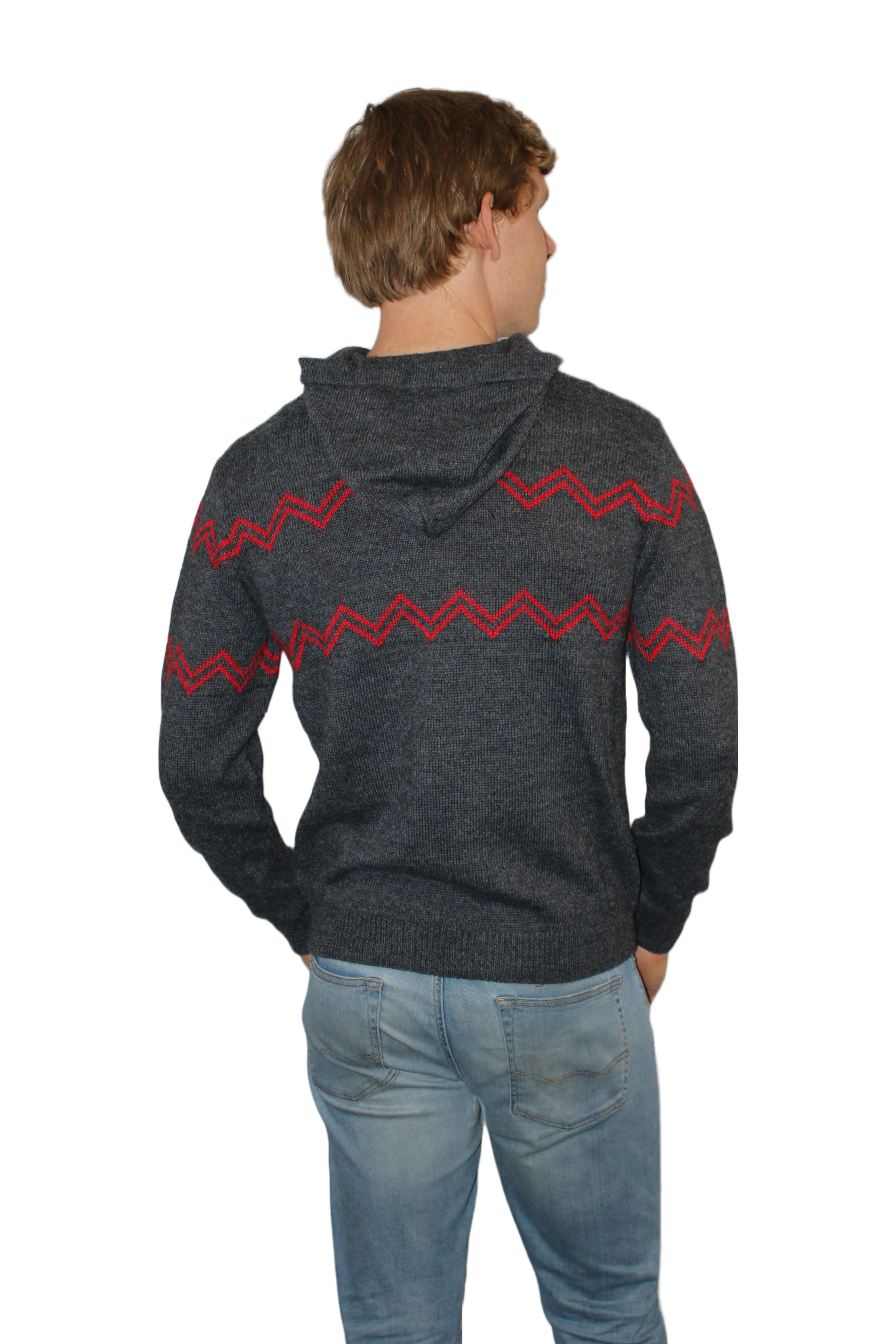 Wisconsin Alpaca Hoodie - Dark Gray