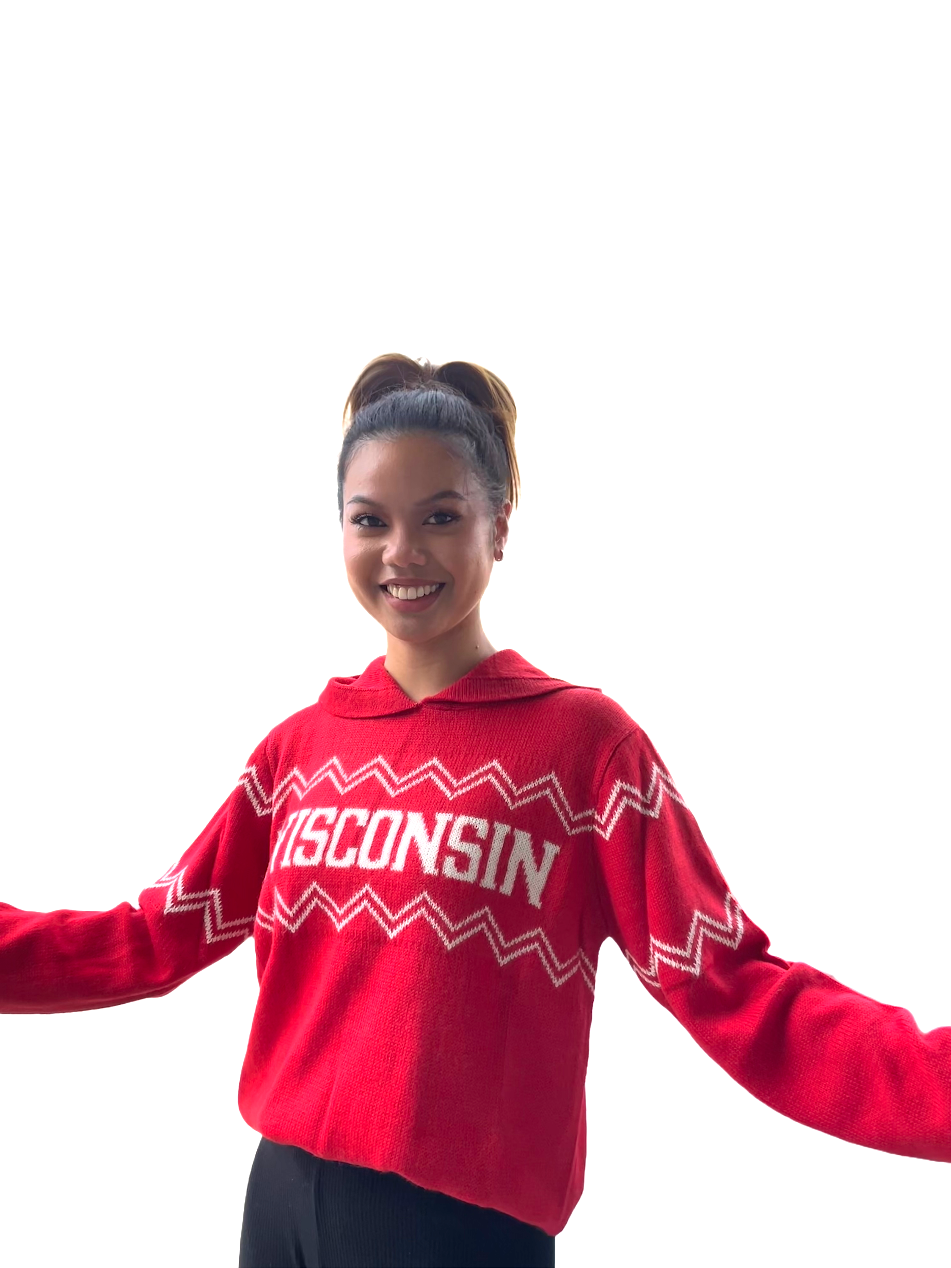 Wisconsin Alpaca Hoodie - Red