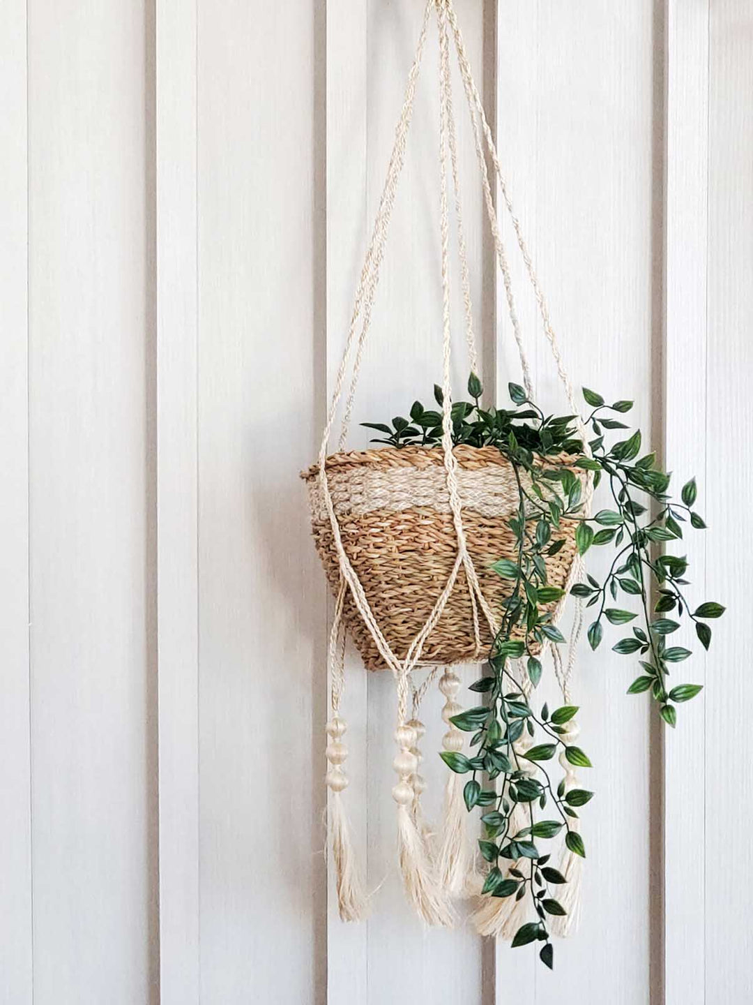 Plant Hanger - Fiora