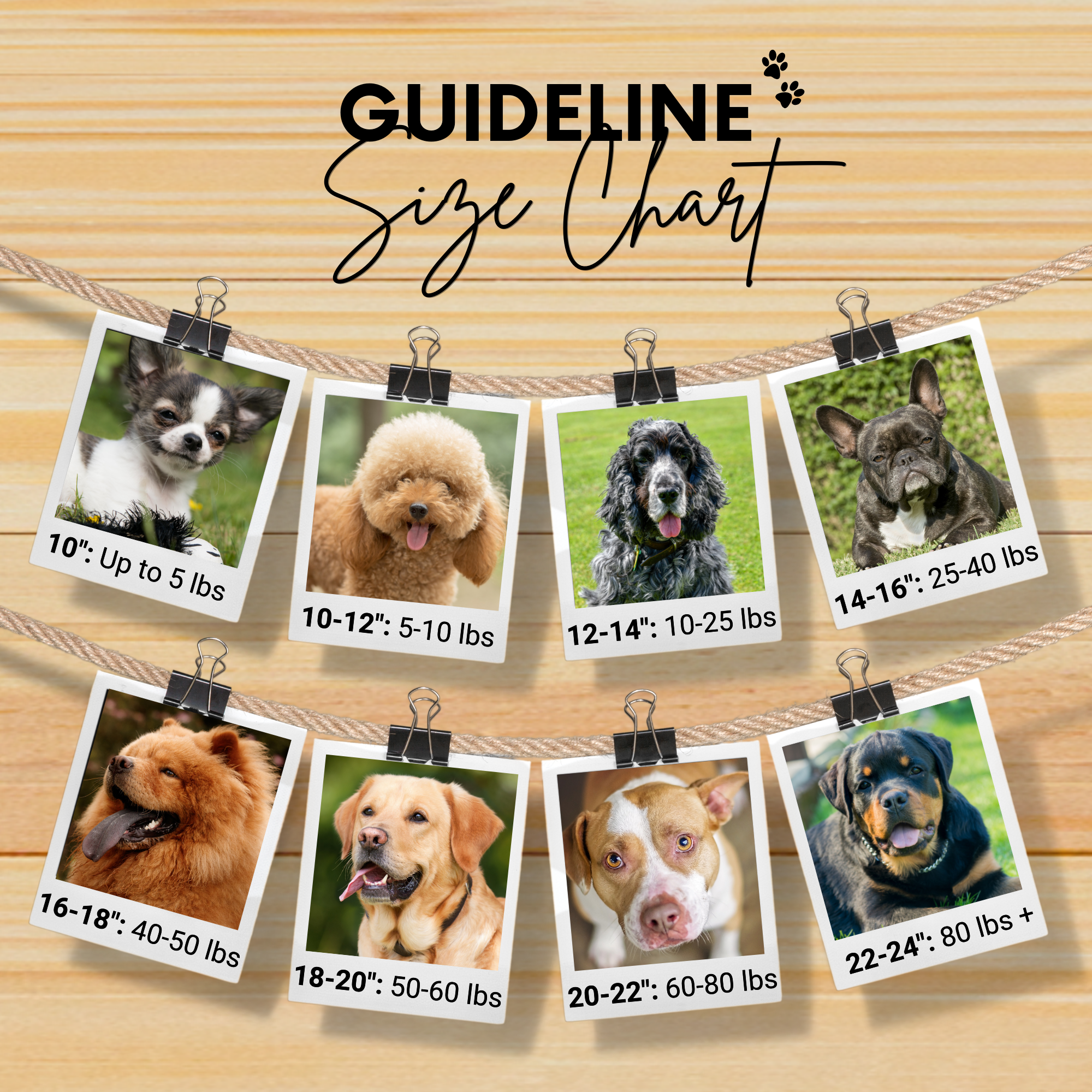 Miami Sambboho dog collar (made to order)