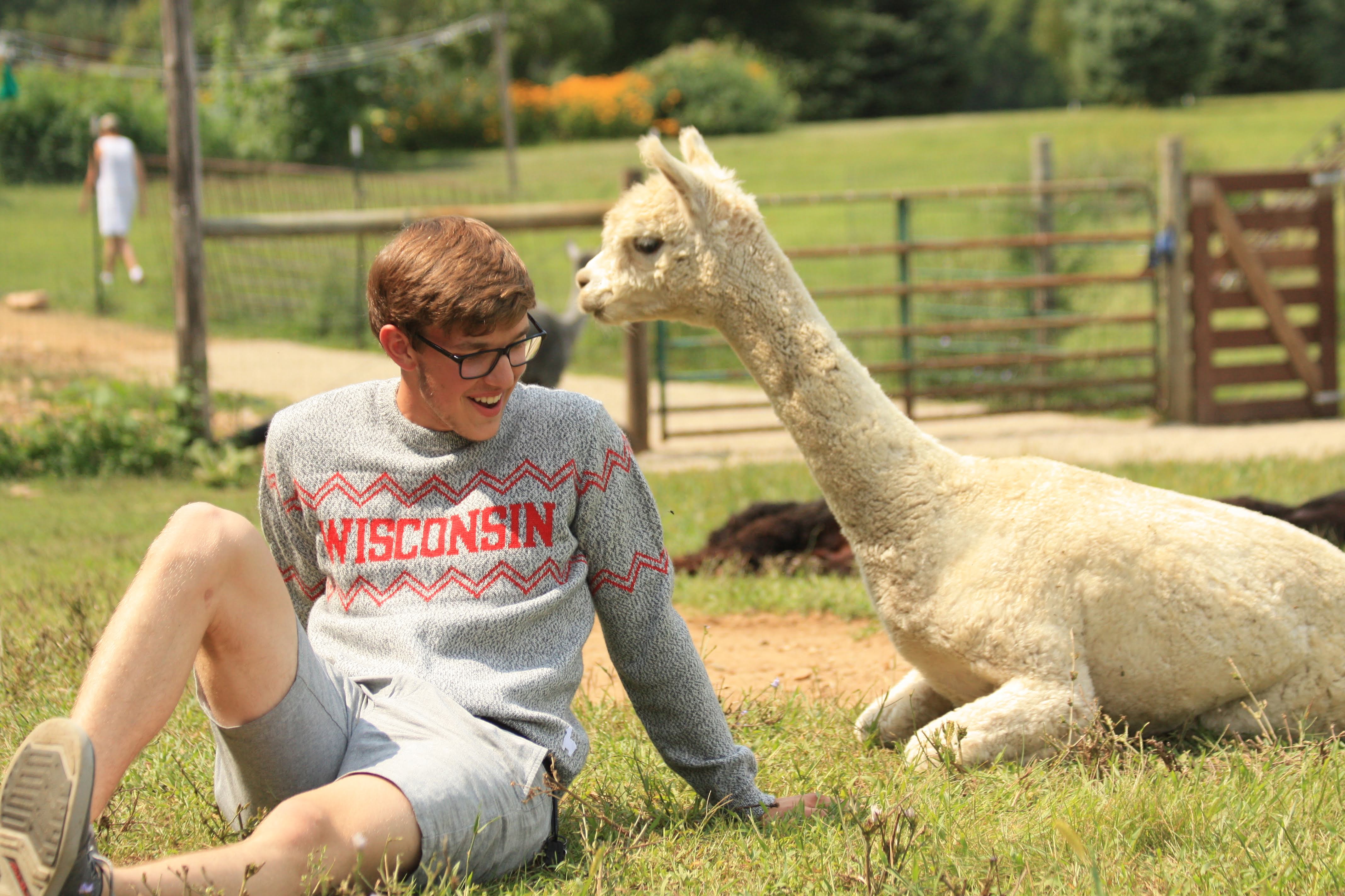Wisconsin Alpaca Crew Neck Sweater - Salt & Pepper