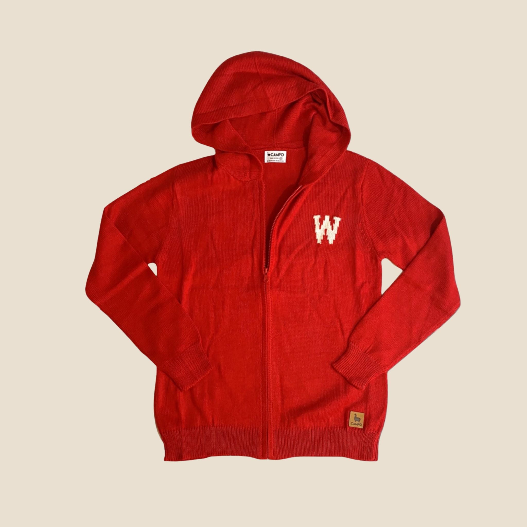 Wisconsin Alpaca Zip-Up Hoodie - Dark Gray